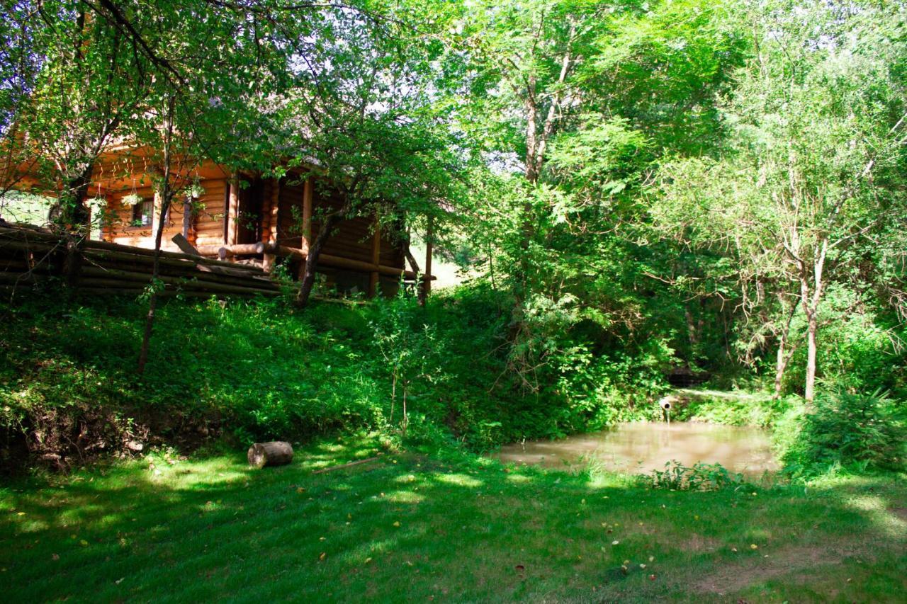 Тихий Куточок Villa Izki Exterior photo