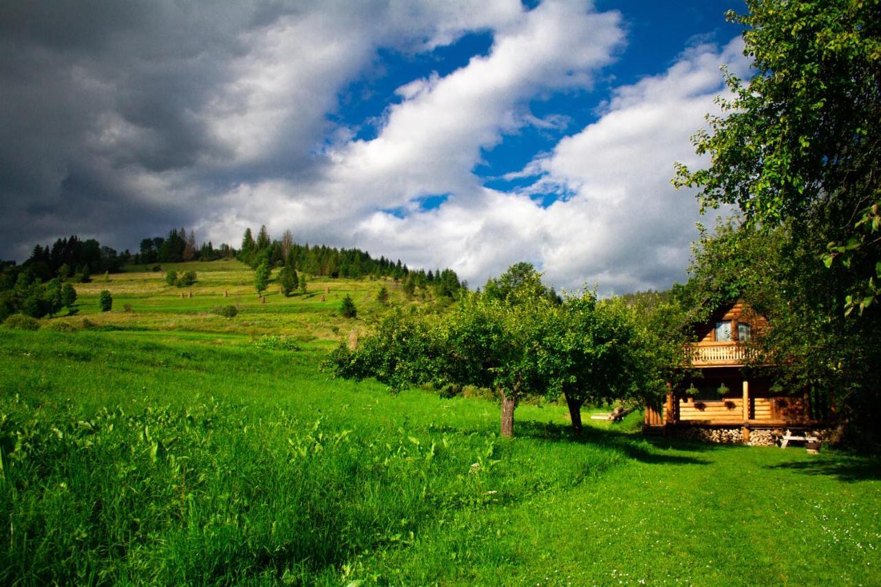Тихий Куточок Villa Izki Exterior photo