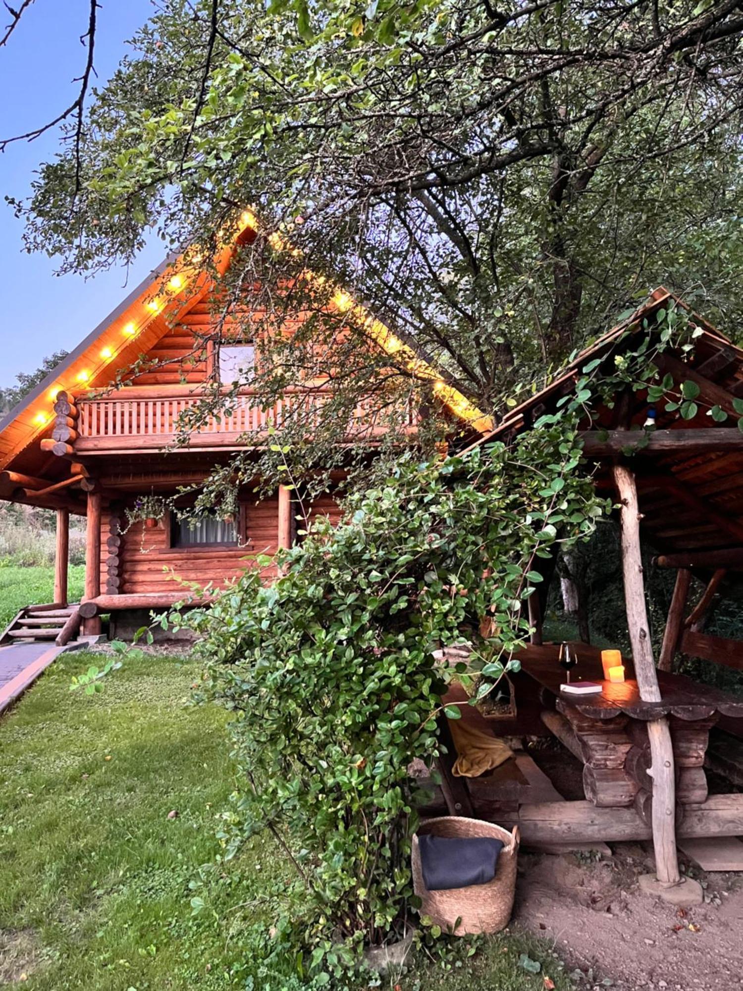 Тихий Куточок Villa Izki Exterior photo