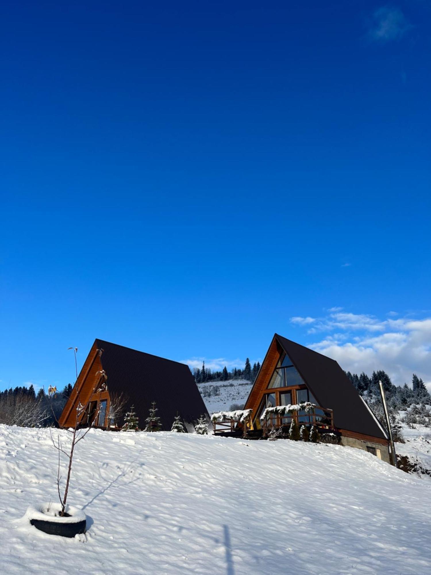 Тихий Куточок Villa Izki Exterior photo